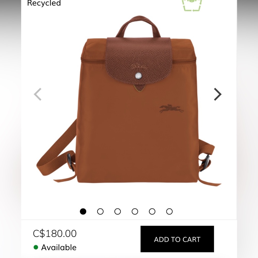 Brand new in package - longchamp backpack